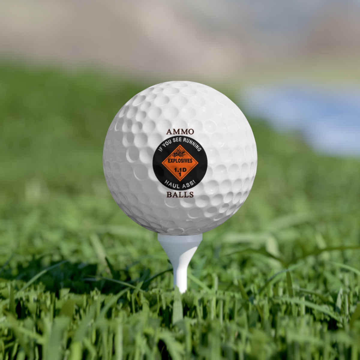 USAF AMMO Explosive Placard If You See Me Running Haul Ass Logo AMMO BALLS Logo Golf Balls, 6pcs
