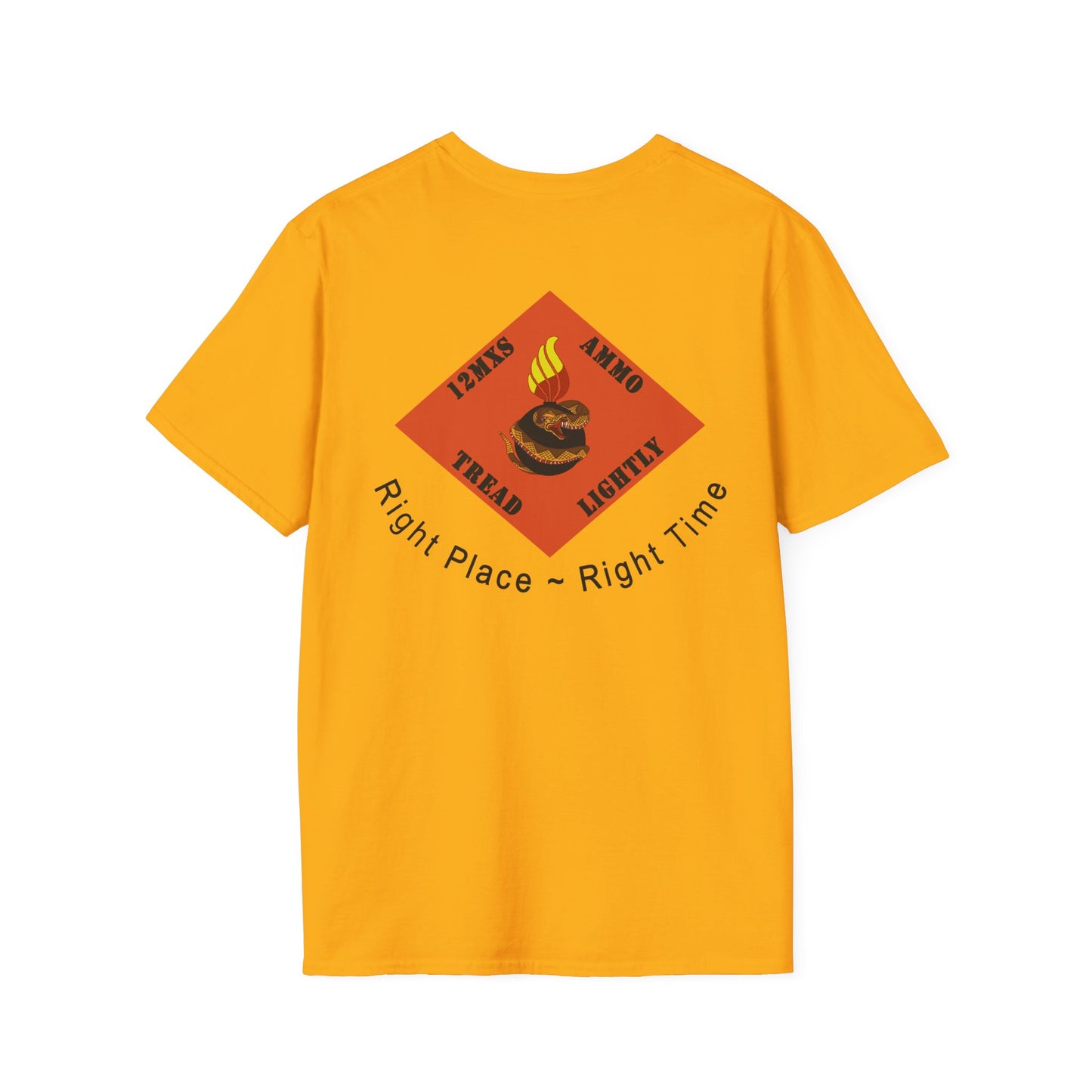 Randolph AFB AMMO Light Color Morale Unisex Softstyle T-Shirt