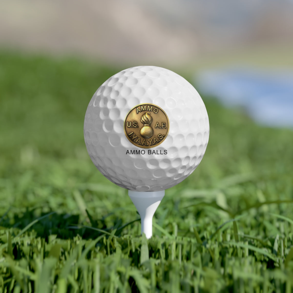 Basic USAF AMMO Coin Pisspot IYAAYAS AMMO BALLS Logo Golf Balls, 6pcs