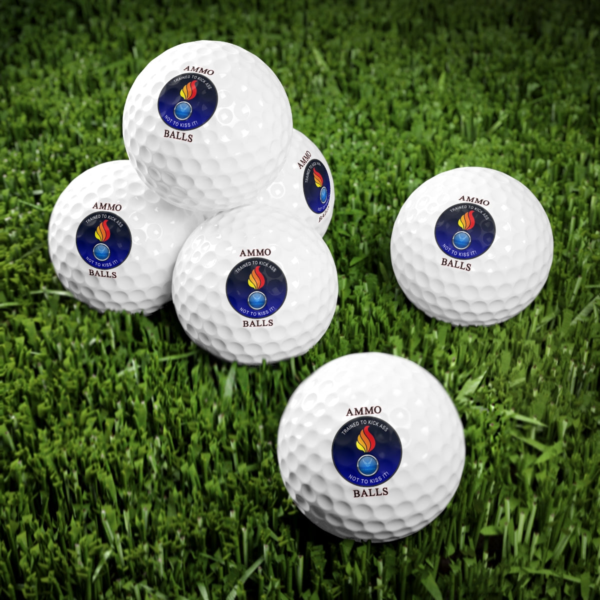 USAF AMMO Circular Pisspot Emblem Trained To Kick Ass Not To Kick It AMMO BALLS Logo Golf Balls, 6pcs